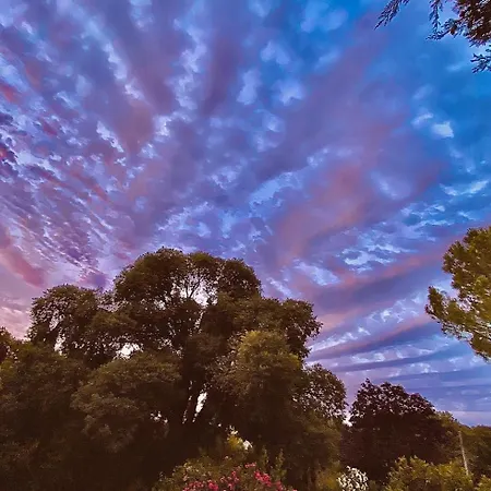 Le Petit Palais Hors Du Temps Collias