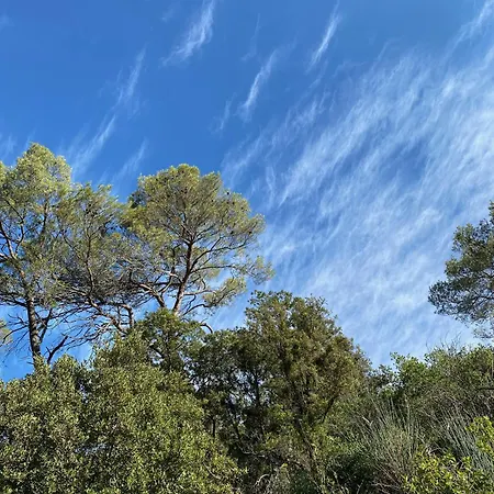 Σπίτι διακοπών Le Petit Palais Hors Du Temps Collias